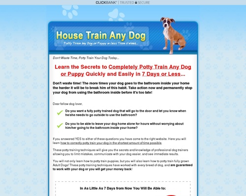 How to Housetrain Any Dog