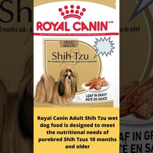 royal canin breed health nutrition shih tzu wet dog food