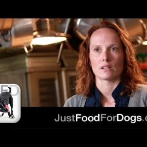 the specialists: grain free dog food | justfoodfordogs