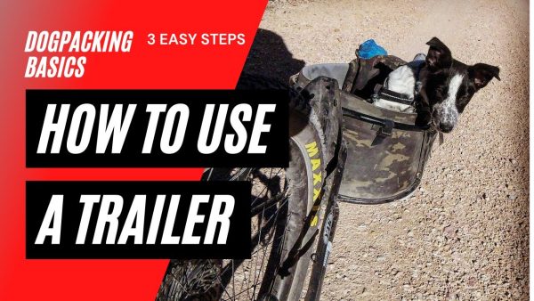 how to bikepack with your dog using a trailer. train you dog in 3 easy steps.