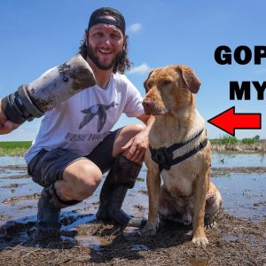 dummy launcher dog training at my lease pond! (new pit blind)