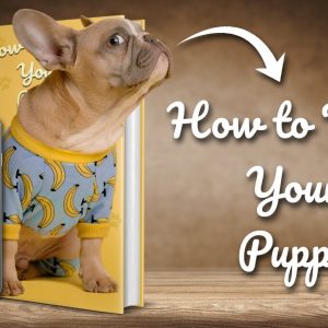 how to train your puppy basic dog training top 10 essential commands every dog should know