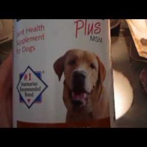 dog joint health supplement (review)