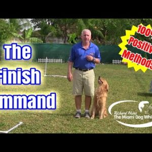 the most difficult obedience command ( the finish command ) now available!