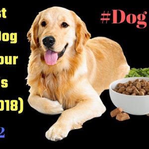 10 best cheap dog food your buyer’s guide 2018 part 2