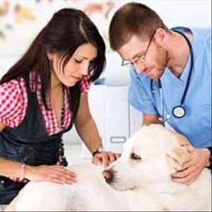 pet health problems