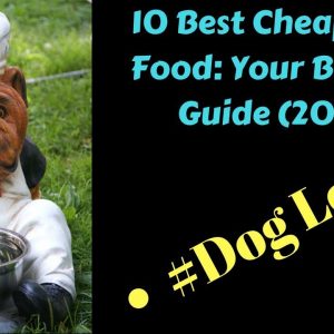 10 best cheap dog food your buyer’s guide 2018