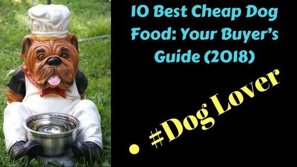 10 best cheap dog food your buyer’s guide 2018