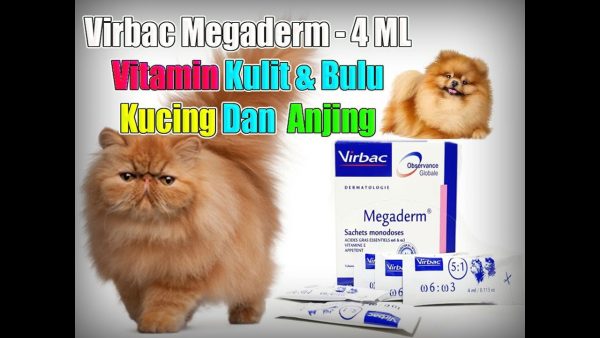 vitamin bulu & kulit kucing dan anjing virbac megaderm