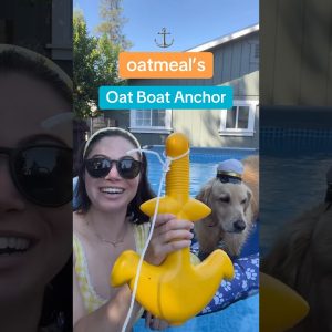 not sponsored btw (but i tagged the anchor to this post!) #pooltime #swimmingdog #poolfloatanchor