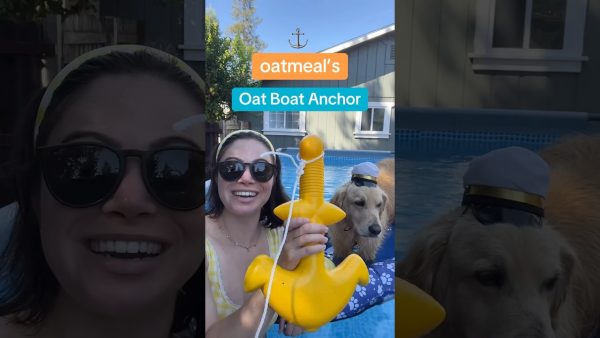 not sponsored btw (but i tagged the anchor to this post!) #pooltime #swimmingdog #poolfloatanchor