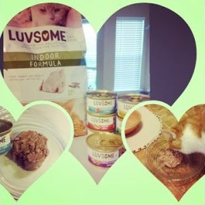 luvsome wet cat food from kroger #bzzagent #gotitfree #luvs