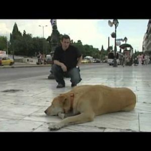 loukanikos, the greek riot dog with paul mason in athens, 17th june 2011