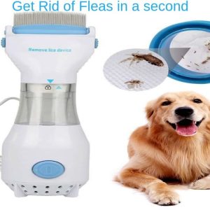 how to get rid of fleas on your pet like dog or cat at home