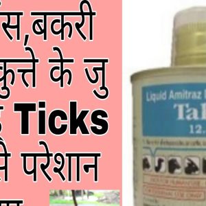 amitraz dip concentrate liquid ip use in hindi | iske upyog ke | faayde in hindi | taktic in animal