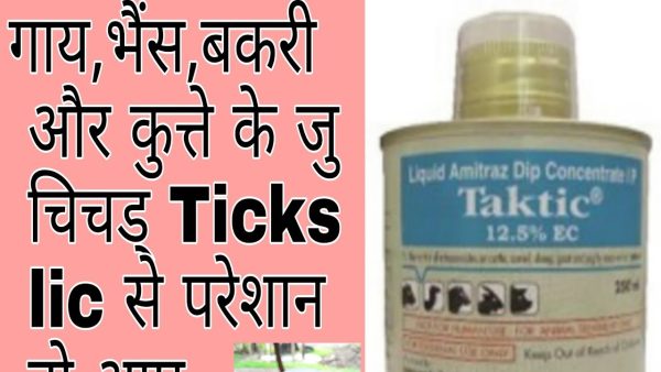 amitraz dip concentrate liquid ip use in hindi | iske upyog ke | faayde in hindi | taktic in animal