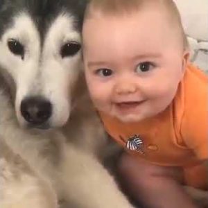 so much cuteness ❤️🤗😊 cute dog video #shorts