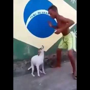 funny dog dancing with a boy 🤩🕺🐕