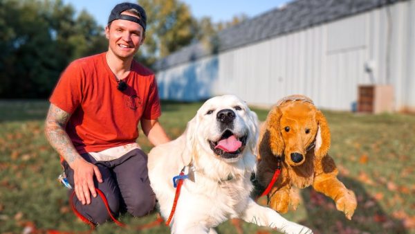 this dog was a nightmare on the leash until...