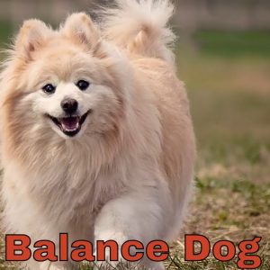 pure balance dog food that makes your pet healthy & strong 🐕