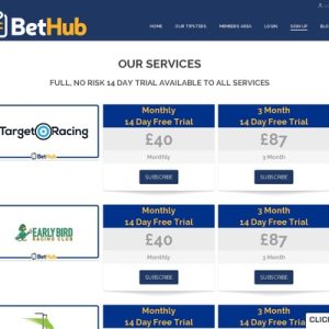 bethub professional sports tipster management