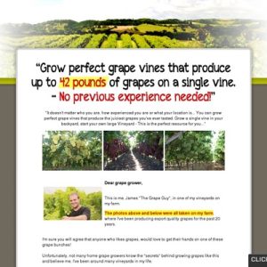 grow perfect grapes