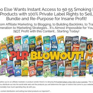 plr blowout 55 niche ebook products with full private label rights