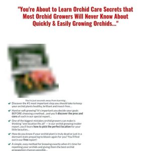 orchid care tips orchid secrets revealed