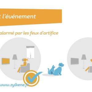 zylkène : animaux de compagnie et feux d'artifice