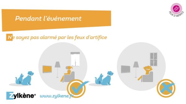 zylkène : animaux de compagnie et feux d'artifice