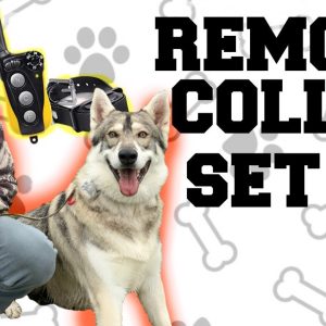 off leash dog training remote collar unboxing how to set up your e collar