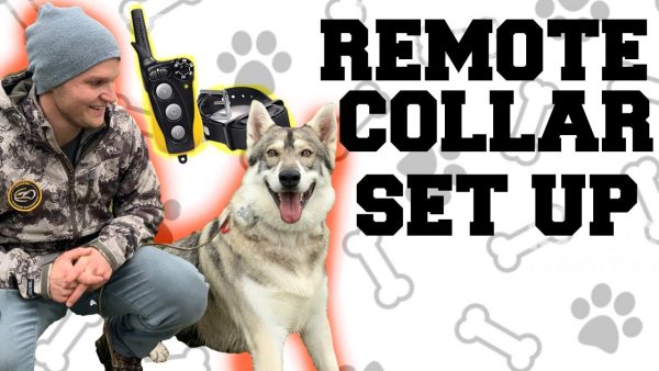 off leash dog training remote collar unboxing how to set up your e collar