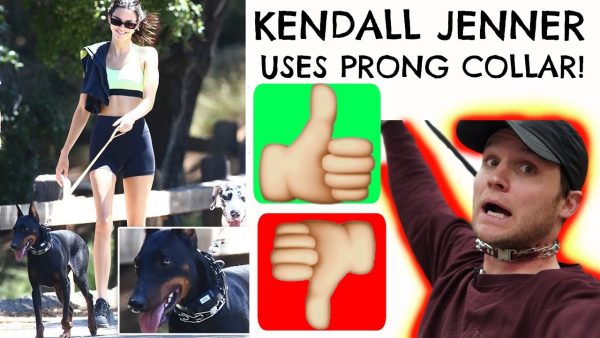 kendall jenner’s dog wearing cruel collar is the prong collar cruel?