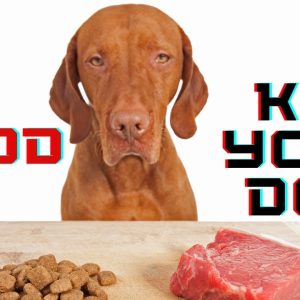 3 food that will kill your dog ⚠️🐕