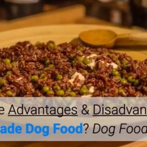 what are advantages & disadvantages of homemade dog food? dog food advisor