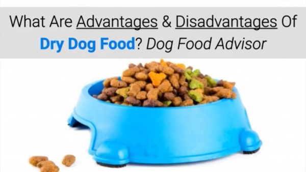 what are advantages & disadvantages of dry dog food? dog food advisor