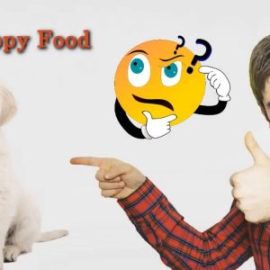 best dog food for puppies recommended by dog food judge 🐶