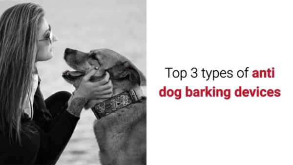 here are 3 most effective anti dog barking devices