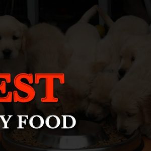 🏆 #1 best puppy food 2019 ⭐91/100⭐