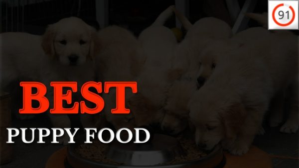 🏆 #1 best puppy food 2019 ⭐91/100⭐