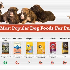 top 10 most popular dog foods for puppies reviewed by dog food judge 🏆