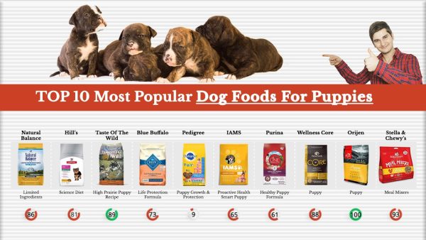 top 10 most popular dog foods for puppies reviewed by dog food judge 🏆