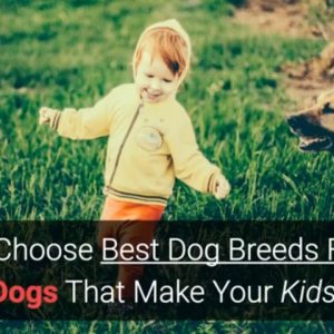 how to choose best dog breeds for kids? make your kid happy