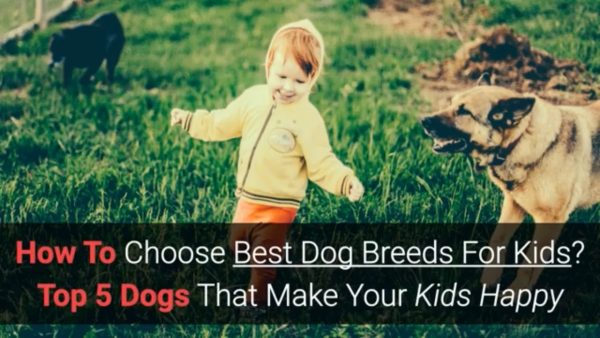 how to choose best dog breeds for kids? make your kid happy