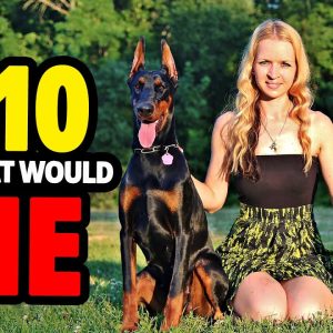 🐕 dogs ready to die for you – top 10 dog breeds willing to die for you!