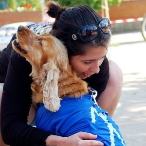 dogs meet owners after a long time ❤️ *unbreakable bond*