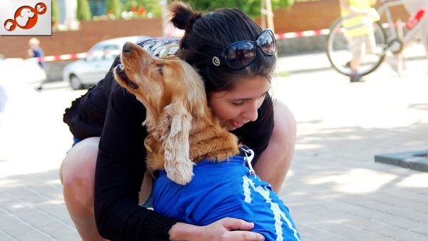 dogs meet owners after a long time ❤️ *unbreakable bond*