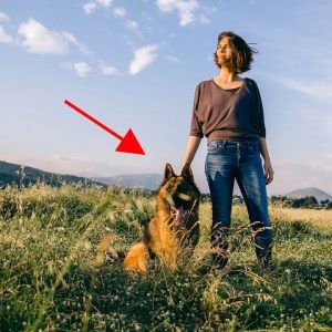 how to train a dog to stop eating grass?