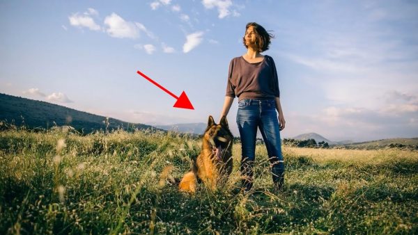 how to train a dog to stop eating grass?