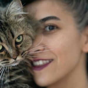 🐈 what does your cat think of you? top 10 ways your cat sees you!